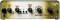 DTAR Mama Bear 32-Bit Digital Modeling Acoustic Guitar Preamp reviews