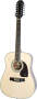 Epiphone DR212 12-String Acoustic Guitar