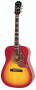 Epiphone Hummingbird Acoustic Guitar best buy