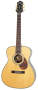 Epiphone Masterbilt EF500RA Acoustic Guitar