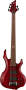 ESP LTD F255FM 5-String Electric Bass reviews