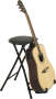 Farley's StagePlayer Guitar Stand and Stool