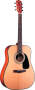 Fender DG10 Dreadnought Acoustic Guitar