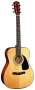 Fender GC12 Grand Concert Spruce Top (Natural)