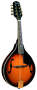 Fender FM53S FM Series Mandolin reviews