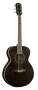 Fender GDO200 Acoustic Guitar