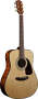 Fender CD220S Acoustic Guitar