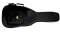 Fender Stratacoustic and Telecoustic Standard Gig Bag Reviews
