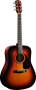 Fender DG5 Acoustic Guitar (with Case)