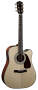 Fender DG22SCE Exotic Hardwood Acoustic-Electric Guitar