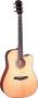 Fender GD47SCE Acoustic-Electric Guitar (with Case) prices