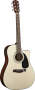 Fender CD60CE 2008 Model Acoustic-Electric Guitar (with Case) Reviews