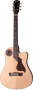 Gibson Traveling Songwriter CE Acoustic-Electric Guitar (with Case) prices