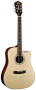 Guild GAD40CE Cutaway Acoustic-Electric Guitar (with Case) reviews