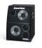 Hartke 2100 Professional Series Bass Cabinet (200 Watts, 2x10 in.)