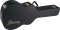 Ibanez AC100C Case for AES Masa and Talman Guitars reviews