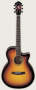 Ibanez AEG10 Acoustic-Electric Guitar with Fishman Pickup