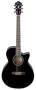 Ibanez AEG10E Acoustic-Electric Guitar prices