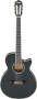 Ibanez AEG10NE Classical Acoustic-Electric Guitar