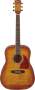 Ibanez AW200 Acoustic Guitar reviews