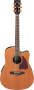 Ibanez AW35RECE Artwood Acoustic-Electric Guitar