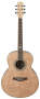 Ibanez EW20AS Exotic Wood Acoustic Guitar best buy