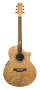 Ibanez EW20ASE Exotic Wood Acoustic-Electric Guitar reviews