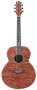 Ibanez EW20BG Exotic Wood Acoustic Guitar reviews