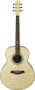 Ibanez EW20QM Exotic Wood Acoustic Guitar reviews