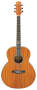 Ibanez EW20ZW Exotic Wood Acoustic Guitar reviews