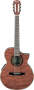 Ibanez EW28BGE Exotic Wood Classical Acoustic-Electric Guitar