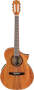 Ibanez EWN28KOE Exotic Wood Classical Acoustic-Electric Guitar
