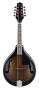 Ibanez M510 A-Style Mandolin best buy