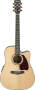 Ibanez PF5ECE Cutaway Acoustic-Electric Guitar prices