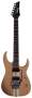 Ibanez RGT2020 Electric Guitar