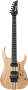 Ibanez RGT220A Prestige Electric Guitar (with Case)