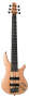 Ibanez SR1006EFM 6-String Electric Bass (with Case)