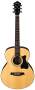 Ibanez VC70 Grand Concert Acoustic Guitar reviews