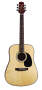 Jasmine by Takamine S33 Acoustic Guitar (with Case)