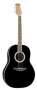 Applause by Ovation AA21 Summit Series Acoustic Guitar reviews