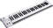 Korg K61P 61-Key USB MIDI Controller reviews