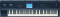 Korg Triton Extreme 88-Key Synth Workstation