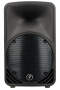 Mackie C200 Compact Passive SR Monitor (1x10 in.)