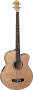 Michael Kelly Dragonfly 4 Fretless Acoustic-Electric Bass