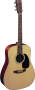 Martin D28 Acoustic Guitar (with Case)