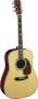 Martin D41 Acoustic Guitar (with Case)