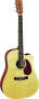Martin DCX1E Cutaway Acoustic-Electric Guitar