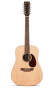 Martin DM12 12-String Dreadnought Acoustic Guitar