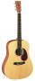 Martin DX1RGT Solid Top Acoustic Guitar