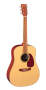 Martin DXM Acoustic Guitar best buy